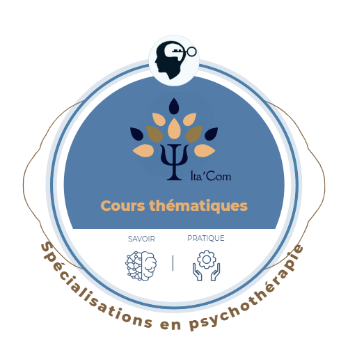 Cours thématiques